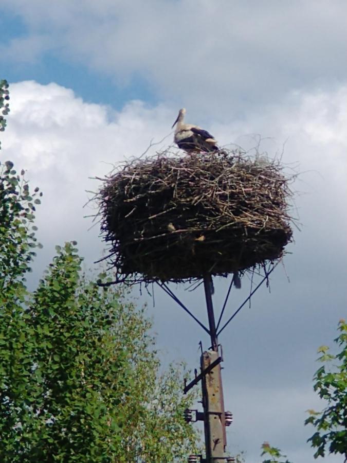 Caloroczne Leniuchowo Ponizie Bagian luar foto